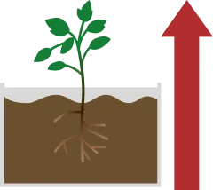 【土壌の構造改善と作物の高付加価値化】
