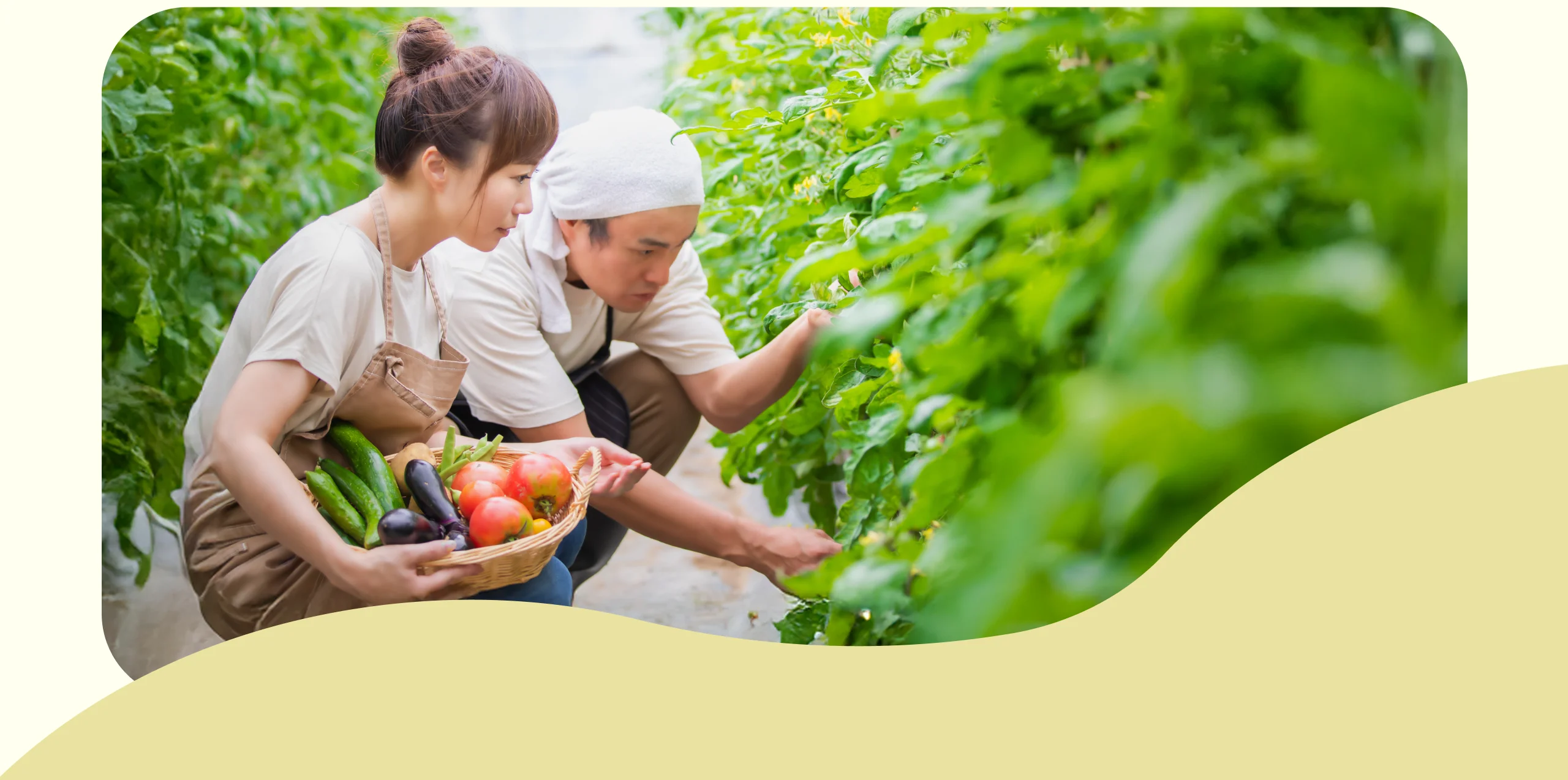 日本の農業が地球の未来をつくる。