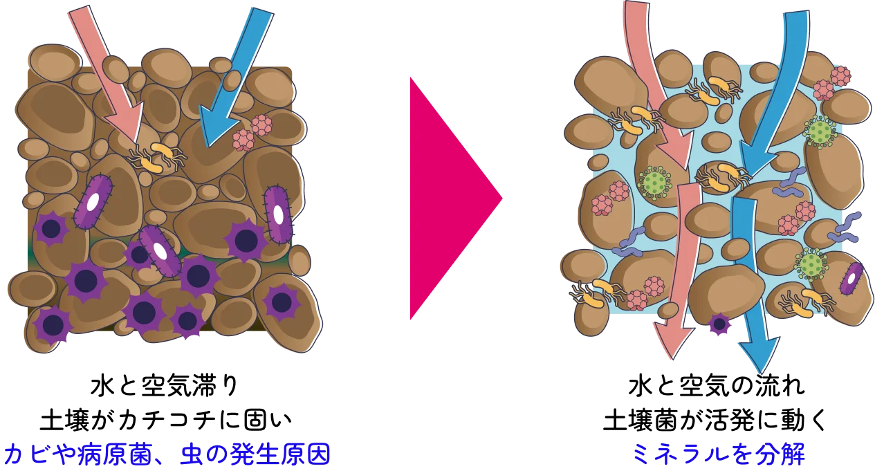 土壌を団粒化構造へ変化させますイラスト