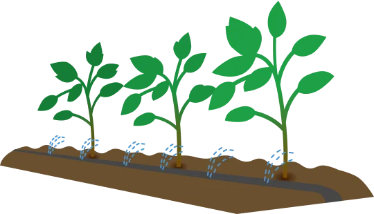 灌水のイラスト